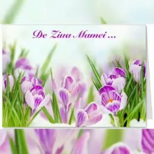 Noi rostim cuvântul MAMĂ!